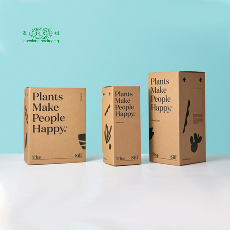 Op maat gemaakte golfkartonnen ambachten gepersonaliseerde dozen geschenkplanten papieren doosverpakking