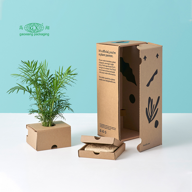 Op maat gemaakte golfkartonnen ambachten gepersonaliseerde dozen geschenkplanten papieren doosverpakking
