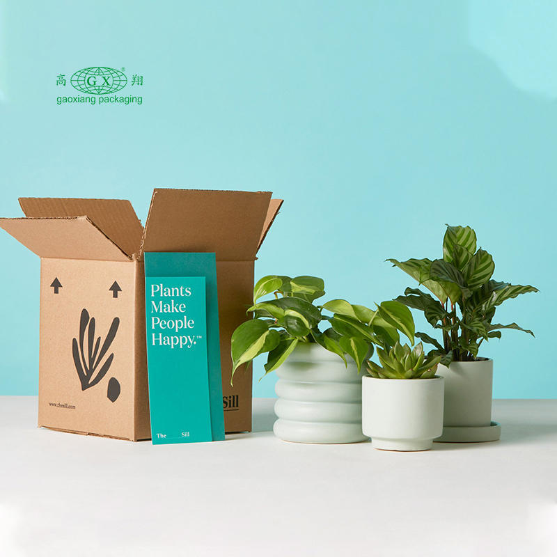 Op maat gemaakte golfkartonnen ambachten gepersonaliseerde dozen geschenkplanten papieren doosverpakking
