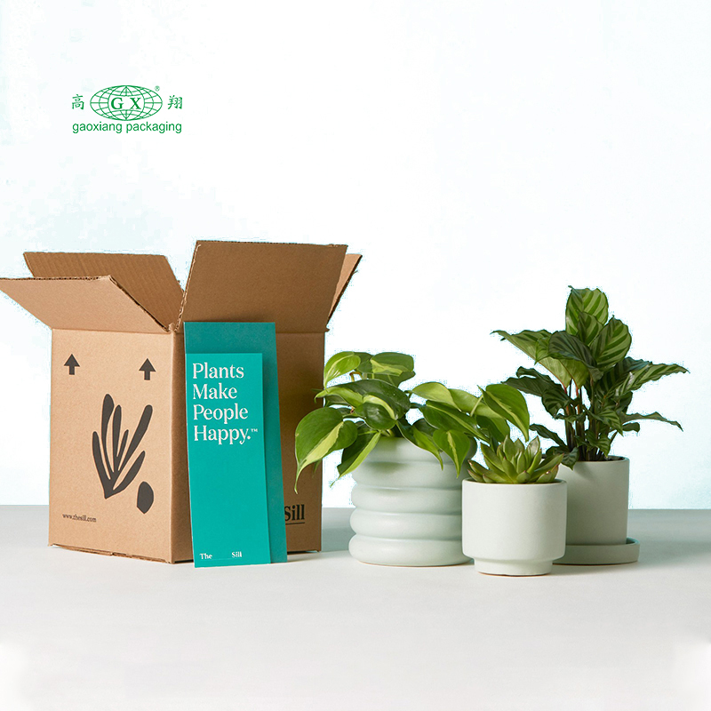 Aangepaste gepersonaliseerde recyclebare gegolfde platte planten bloemen papieren doosverpakking